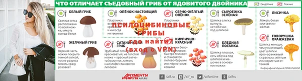 spice Арсеньев