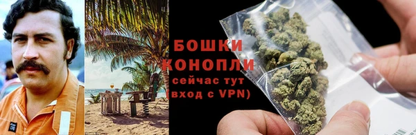 молекула духа Инсар